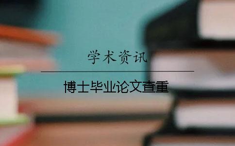 博士毕业论文查重