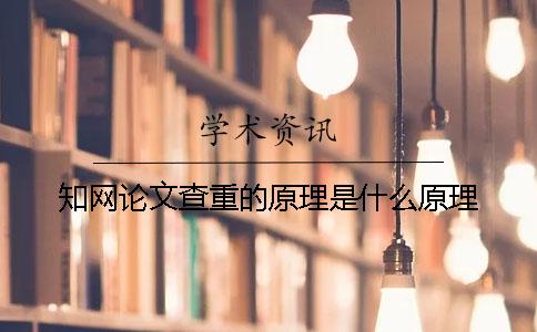 知网论文查重的原理是什么原理